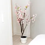 شقة Mola Apartments-historische Im Bachviertel Zentrum Fuer 3 Personen-gratis Parkplatz-highspeed Wlan-auch Fuer Langzeit Geeignet هيردكه