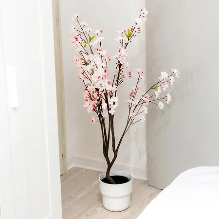 Apartament Mola Apartments-historische Im Bachviertel Zentrum Fuer 3 Personen-gratis Parkplatz-highspeed Wlan-auch Fuer Langzeit Geeignet Herdecke