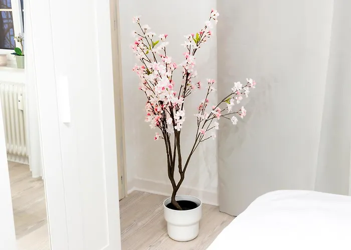 Lejlighed Mola Apartments-historische Im Bachviertel Zentrum Fuer 3 Personen-gratis Parkplatz-highspeed Wlan-auch Fuer Langzeit Geeignet Herdecke